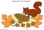 Visualizza immagine scoiattolo
