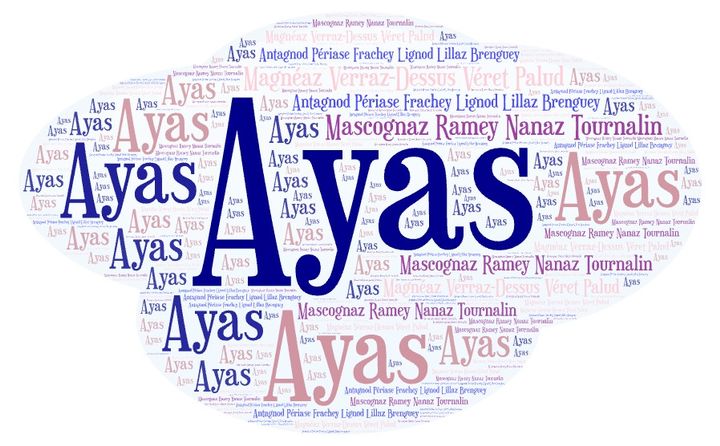 Ayas