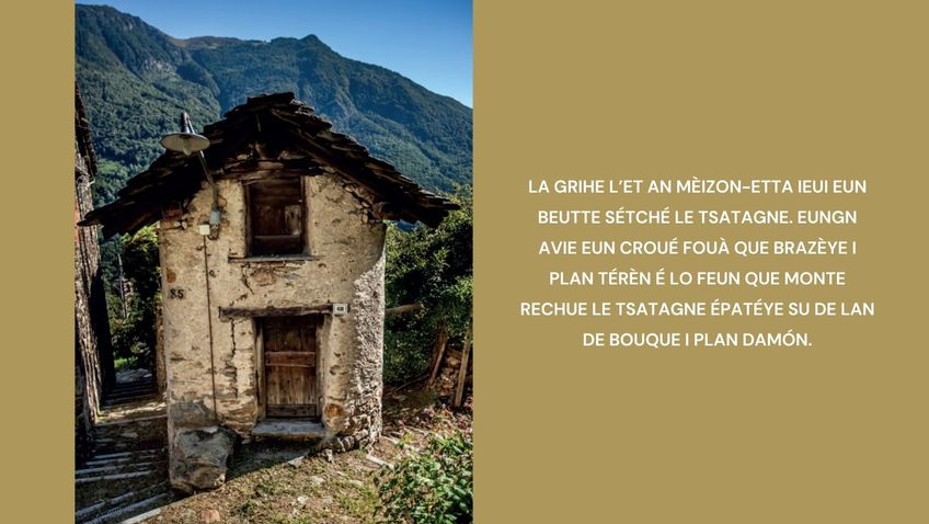 La grihe l’et an mèizon-etta ieui eun beutte sétché le tsatagne. Eungn avie eun croué fouà que brazèye i plan térèn é lo feun que monte rechue le tsatagne épatéye su de lan de bouque i plan damón.