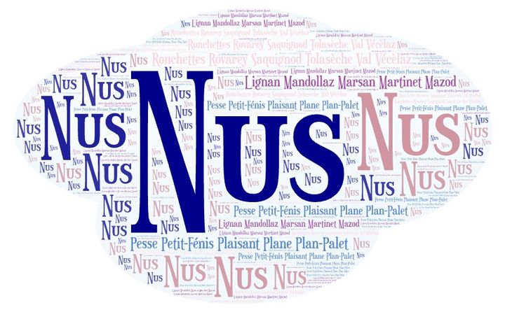 Nus