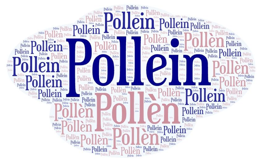 Pollein